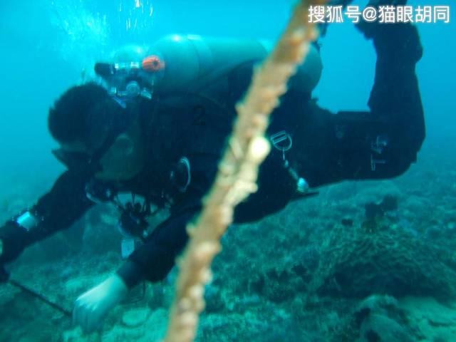 蓝狐视频